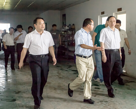 安徽省委副书记、省长王学军莅临安徽柯力视察