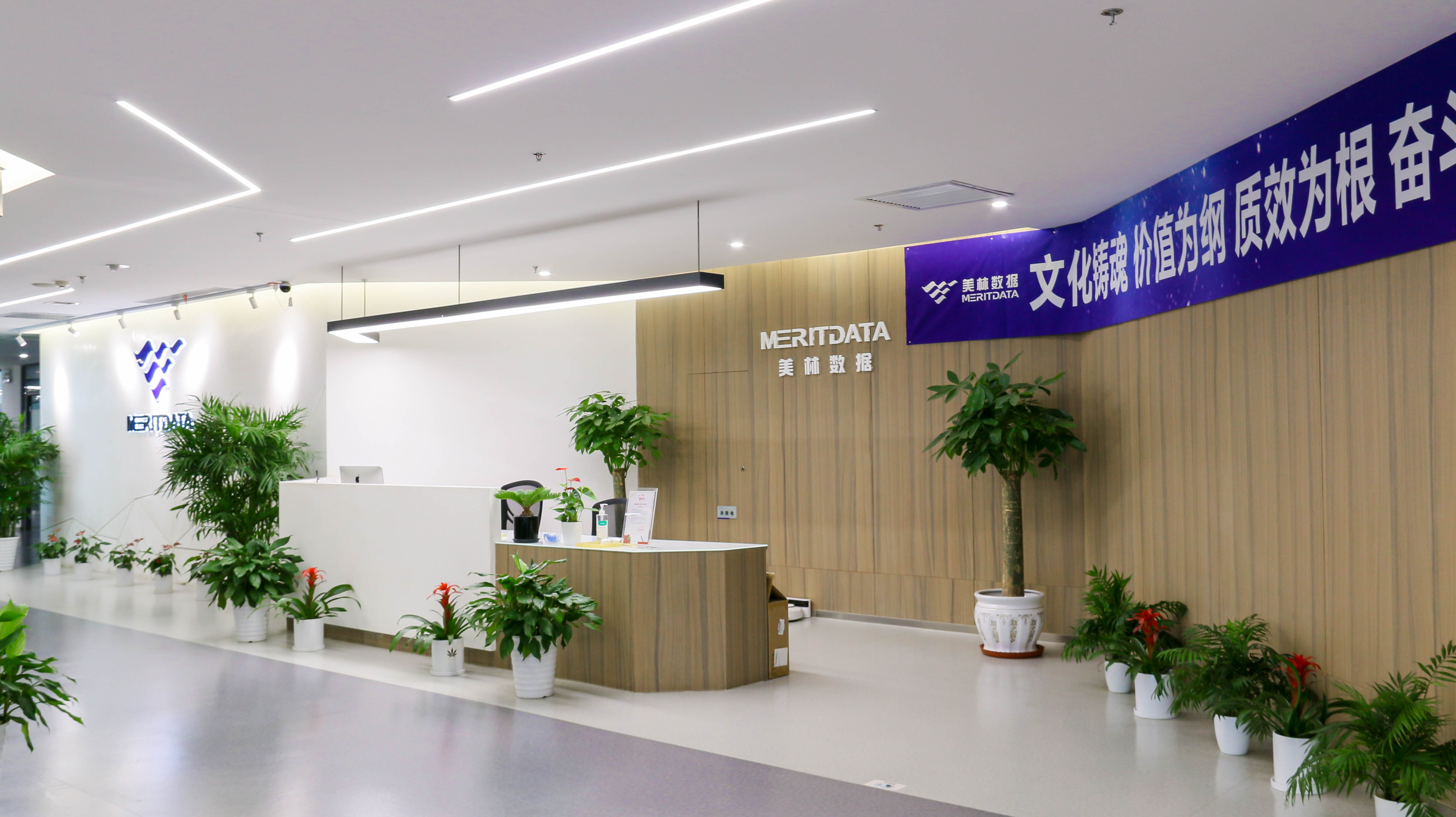 柯力传感携手美林数据 推动行业数字化战略